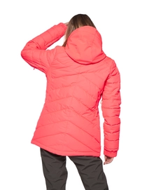 6610592_736_model_back-half_01