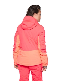 6612292_736_model_back-half_01