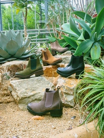 68.001lowversion_67.050highheelversion-website_0a691ed0-8548-4b3c-8eae-aadab35e93db