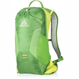 Backpack Gregory Miwok 12 Grass Green
