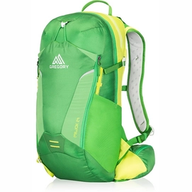 Backpack Gregory Miwok 24 Grass Green