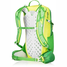 Rugzak Gregory Miwok 24 Grass Green