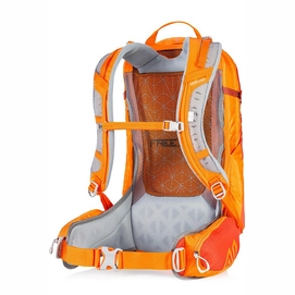 Rugzak Gregory Salvo 24 Burnished Orange