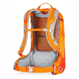 Rugzak Gregory Salvo 28 Burnished Orange