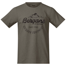 T-Shirt Bergans Classic Grün Herren
