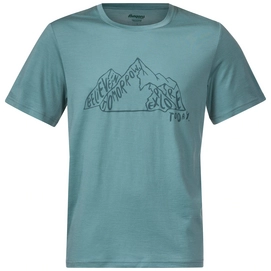 T-Shirt Bergans Men Graphic Wool Tee Light Forest Frost Forest Frost