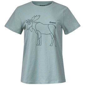 T-Shirt Bergans Femme Graphic Misty Forest