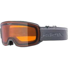 Masque de Ski Alpina Alpina Nakiska DH Grey Matt