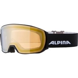 Skibrille Alpina Alpina Nakiska Q-Lite Black Matt