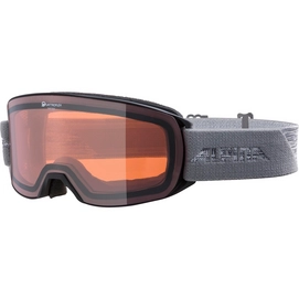 Skibrille Alpina Nakiska QH Schwarz Grau