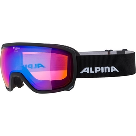 Skibril Alpina Scarabeo Q-Lite Black Matt