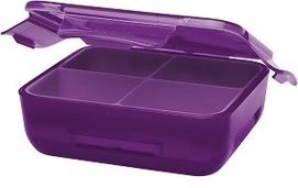 Brotdose Aladdin Doppelwandig Berry Kinder