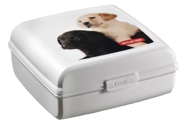 Bewaarbox Curver Multi Snap Vierkant Groot