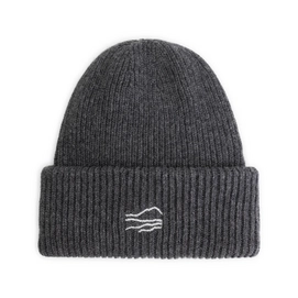 Beanie Blue LOOP Essential Beanie Anthracite