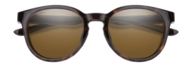 2---cpPolarizedBrown_03-_no-bg