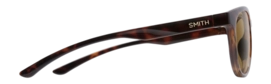 3---cpPolarizedBrown_02-_no-bg