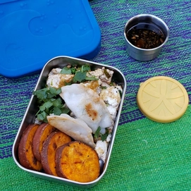 8---blue-water-bento-lunchbox-splash-box-41217353154861_800x