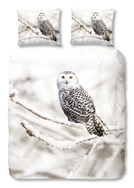 Parure de Lit Good Morning Chouette Des Neiges Coton