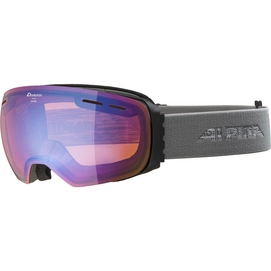 Ski Goggles Alpina Granby Grey / HM Blue