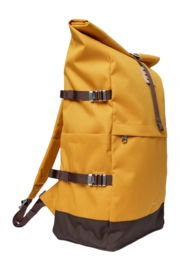 yellow2-_no-bg