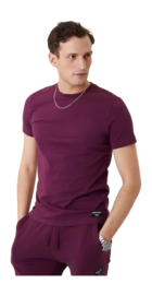 T-shirt Bjorn Borg Centre Grape Wine