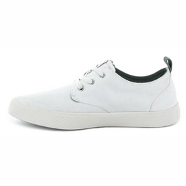 Palladium Pallaphoenix Oxford Canvas Star White