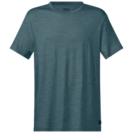 T-Shirt Bergans Homme Oslo Wool Forest Frost