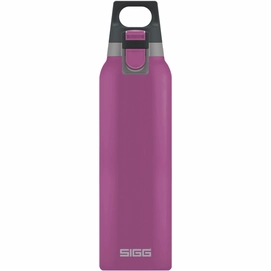 Gourde Sigg Hot & Cold One 0.5L Berry