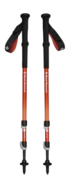 Trekking Pole Black Diamond Trail Back Burnt Octane (100 - 140 cm)
