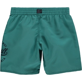 Swimshort O'Neill Surf Cruz Green-Blue Slate