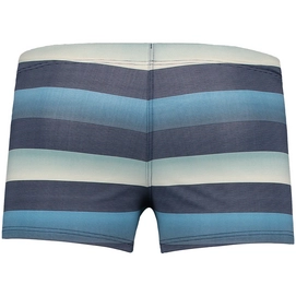 Swimming Trunk O'Neill Santa Cruz Stripe Blue