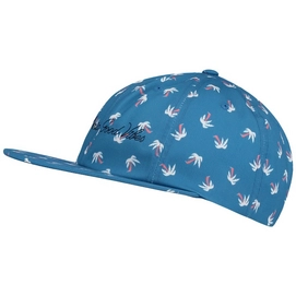 Casquette O'Neill Manresa Blue Green -