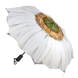 Regenschirm Blooming Brollies Summer Daisy Multi