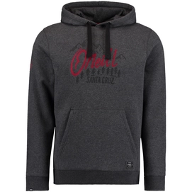 Trui O'Neill Pch Logo Hoodie Men Dark Grey Melee