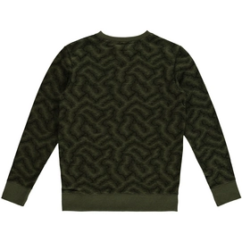 Trui O'Neill Archive Sweatshirt Boys Green Aop