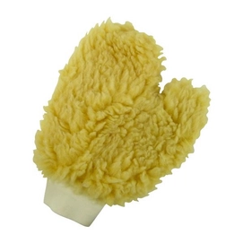 Wash Mitt Protecton