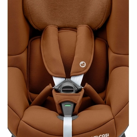 8----JPG RGB 300 DPI-8601650110_2019_maxicosi_carseat_toddlercarseat_tobi_brown_authenticcognac_5pointsafetyharness_front