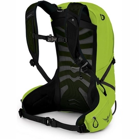 8---web__0195_talon_11_s21_sideback_limon_green