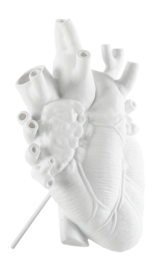 4---Seletti-Marcantonio-Hear-Vase-Love-love_in_bloom-099201-_no-bg