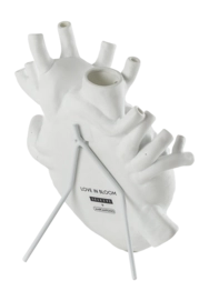 5---Seletti-Marcantonio-Hear-Vase-Love-love_in_bloom-099205-_no-bg