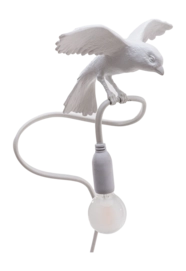 3---15312-sparrow-lamp-cruising-5_2-_no-bg