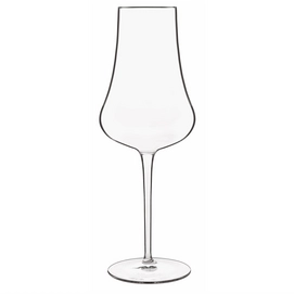 Champagneglas Luigi Bormioli Tentazioni 420 ml (6-Delig)