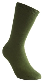 Sokken Woolpower Socks 200 Green