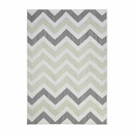 Tapis d'Extérieur Garden Impressions Indiana Olive Grey 120x170 cm