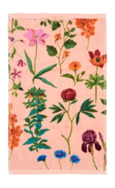 Gästehandtuch Essenza Marigold Evening Rose (30 x 50 cm)