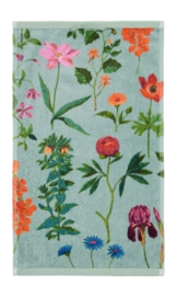 Gästehandtuch Essenza Marigold Surf Green (30 x 50 cm)