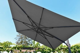 2---2018 M&L parasol Vince 3x3