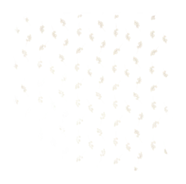 1200x1169-_no-bg