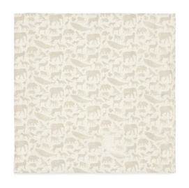 1200x1184-_no-bg