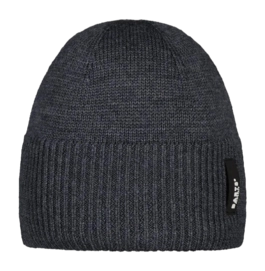Bonnet Barts Unisexe Trivorro Beanie Dark Heather